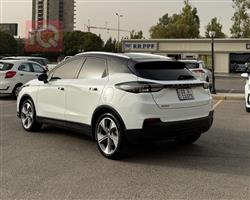Geely Geometry C